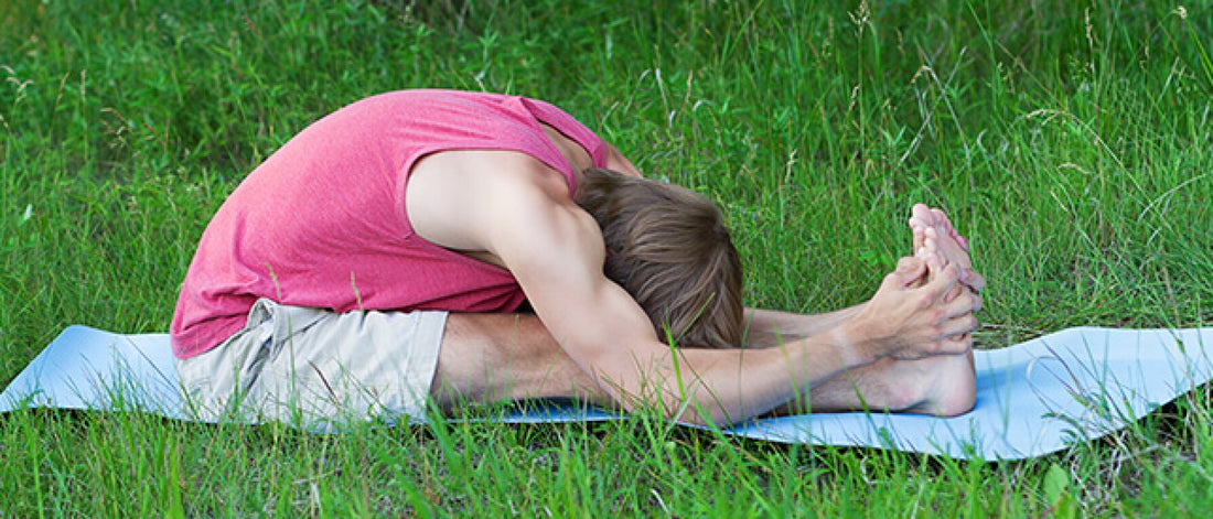 12 Fundamental Yoga Poses for a Balanced Life