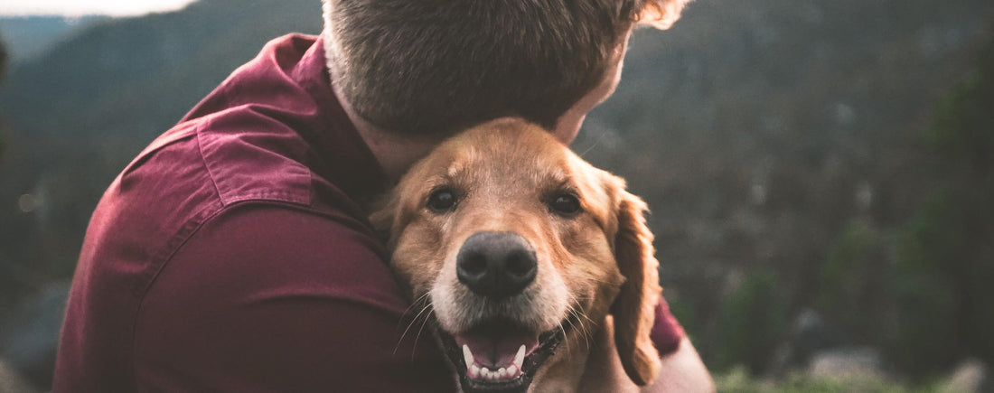 4 Spiritual Lessons We Learn from Dogs