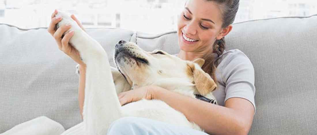 7 Health Benefits of Owning a Pet
