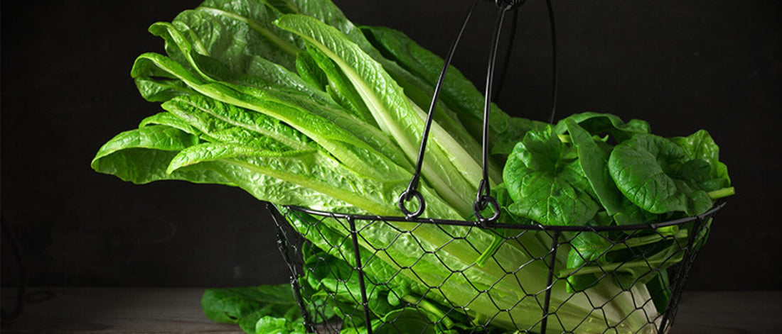 7 Leafy Greens: A Nutritional Comparison