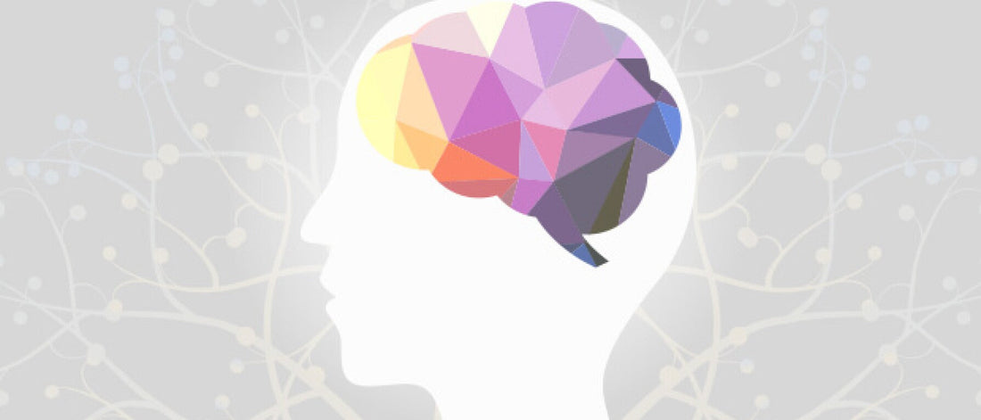 The Brain Explained: 6 Scientific Terms Demystified