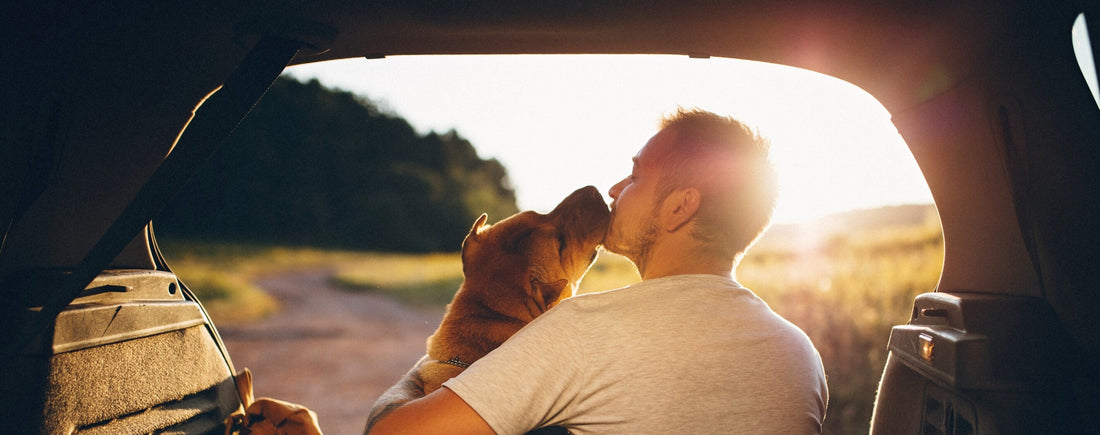 The Soul of a Dog: 5 Qualities of Being You Can Learn From Your Pooch