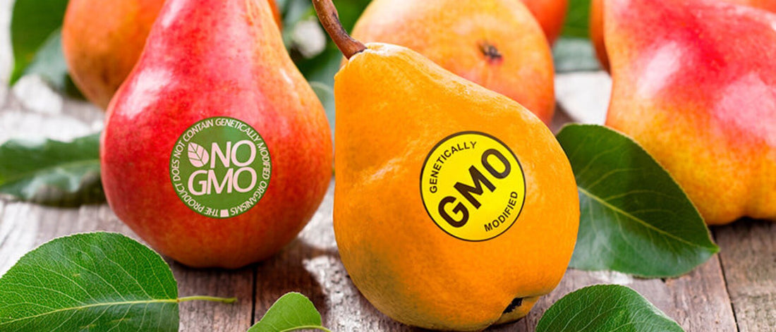 The Whys and Whats of GMOs