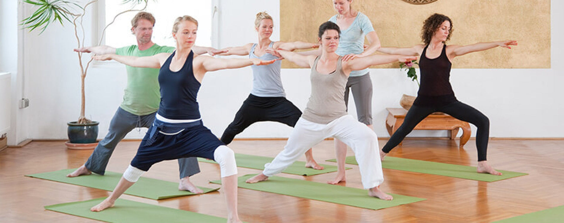 ACE - ProSource™: January 2014 - Yoga and the Art of Hands-on Adjustments