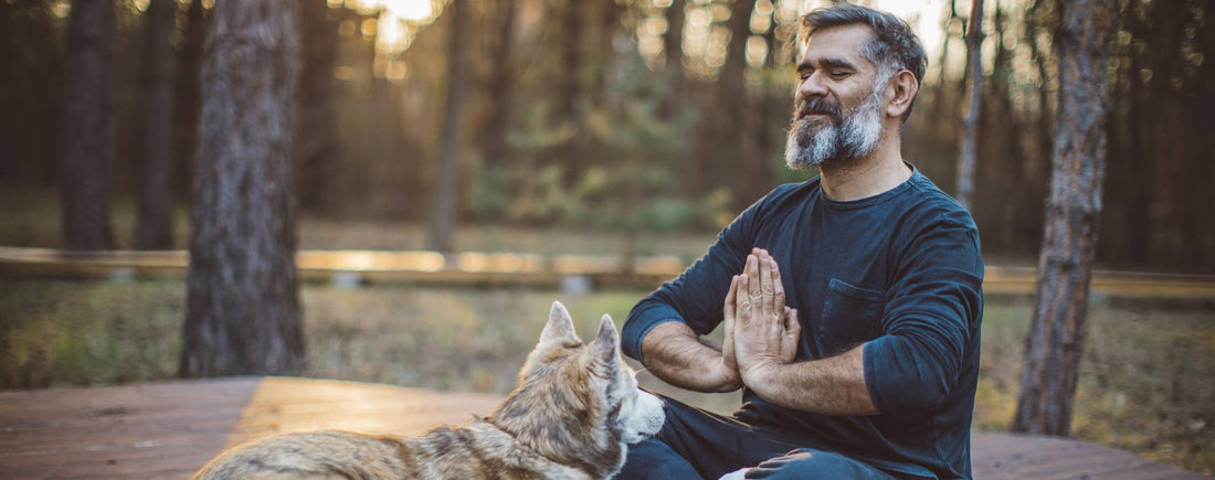 5 Reasons You Should Meditate With Your Pet