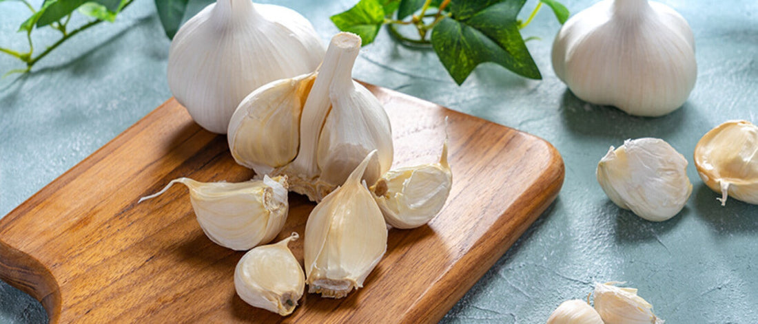 6 Health Benefits of Garlic