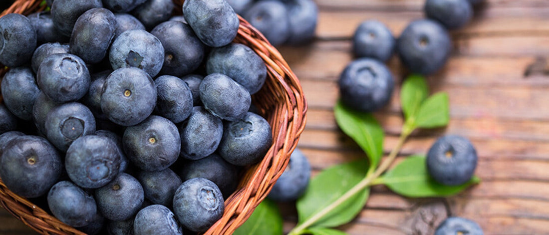 8 Surprising Benefits of Blueberries