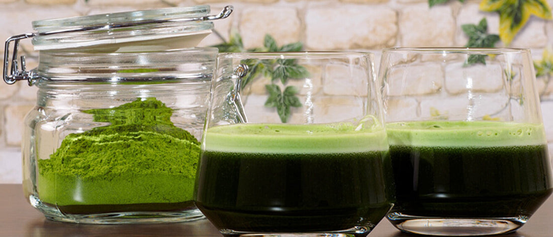 Chlorella vs. Spirulina: What’s the Difference?