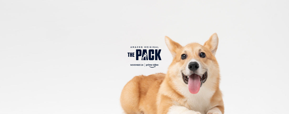 Chopra Global Collaborates with Amazon Prime Video’s The Pack