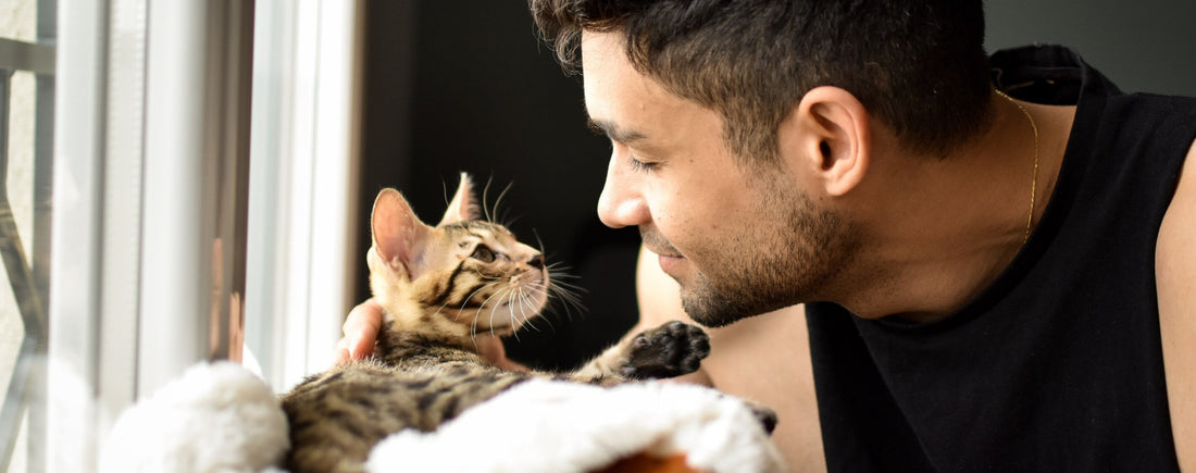 Hug it Out! How and Why to Connect with Your Pets During Social Distancing