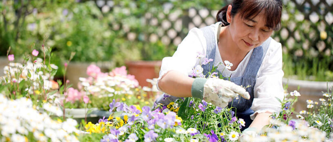 Reap What You Sow: 4 Reasons to Plant a Garden