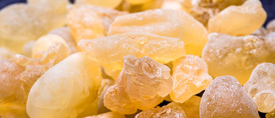 What Is Boswellia?